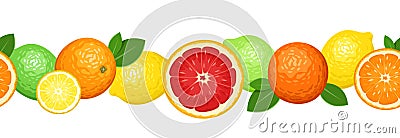vector horizontal seamless background with citrus Vector Illustration