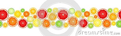 Horizontal seamless background with citrus fruits. Vector illustration. Vector Illustration