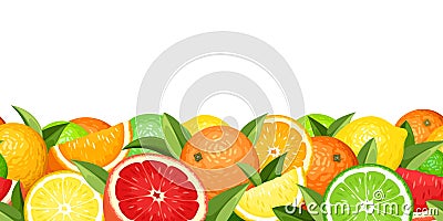 Horizontal seamless background with citrus fruits. Vector illustration. Vector Illustration