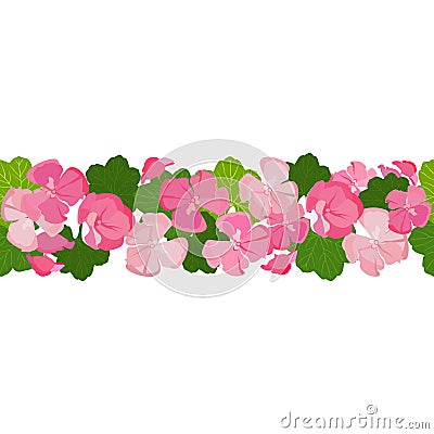 Horizontal seamless background with colorful geranium flowers and leaves. Vector Illustration