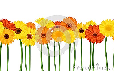 Horizontal seamless background with gerbera flowers. Vector illustration. Vector Illustration