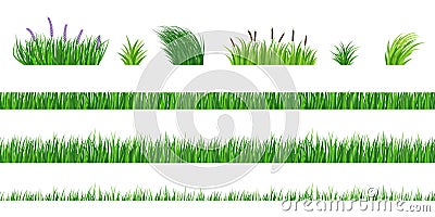 Grass elements Vector Illustration