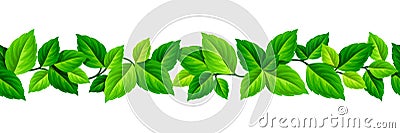 Horizontal seamless garland with green leaves. Vector illustration. Vector Illustration