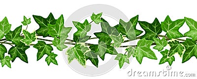 Horizontal seamless garland with ivy leaves. Vector illustration. Vector Illustration