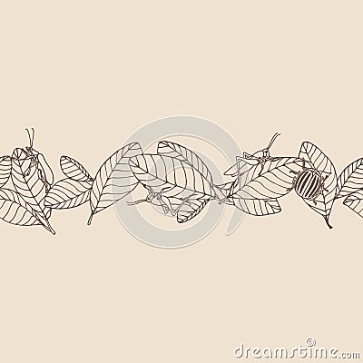 Horizontal seamless pattern of decorative leaves & pest insects, grasshopper, locust, colorado beetle Vector Illustration