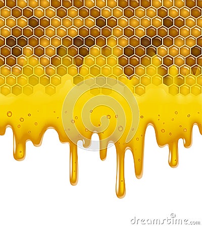 Horizontal seamless pattern full color background of honey comb with flowing down transparent honey isolated on a white background Vector Illustration