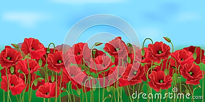 Horizontal seamless poppy field with the blue sky Vector Illustration