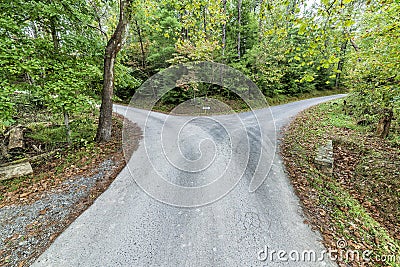 Fork in The Road Stock Photo