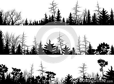 Horizontal silhouettes of coniferous wood. Vector Illustration