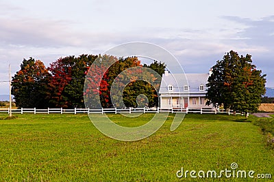 Horizontal view of a traditional French style yellow house with sloped metal tile roof Stock Photo