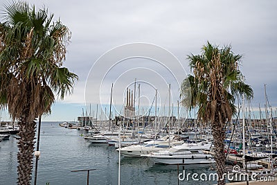 Horizontal view of two palm trees in the port with pleasure boats in Badalona, Editorial Stock Photo