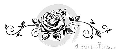 Horizontal vignette with a rose. Vector illustration. Vector Illustration