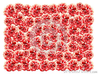 Horizontal vivid motley pink-red background of repeating chaotically watercolor flowers on the baffle of light paper Stock Photo