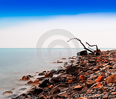 Horizontal vivid tree snag on rocky beach bokeh background backd Stock Photo