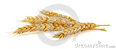 Horizontal wheat ears isolated on white background Stock Photo