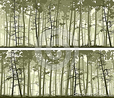 Horizontal wide banners of coniferous wood. Vector Illustration