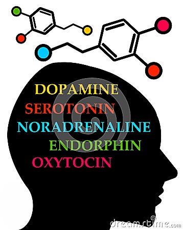 Hormones Stock Photo