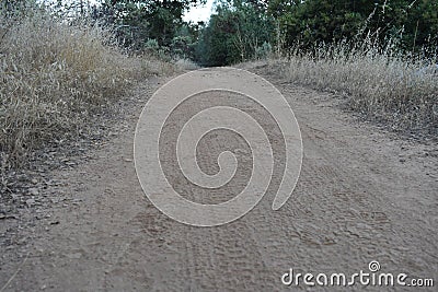 Hornbeck Trail Bike Path near Redding, California Stock Photo