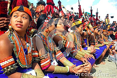 Hornbill Festival of Nagaland-India. Editorial Stock Photo