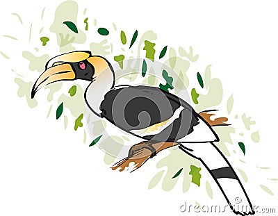 Hornbill Vector Illustration