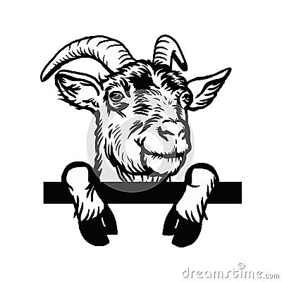 Horned goat - Cheeky Goat peeking out - face head isolated on white - vector stock Vector Illustration