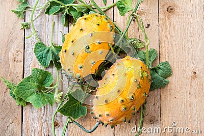 Horned melon, vine with two fresh ripe kiwano, Cucumis metuliferus, on wooden background Stock Photo