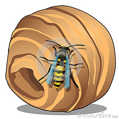 The hornet or wasp nest, vespiary isolated on white background. A hive of wild forest bees. Vector cartoon close-up Vector Illustration