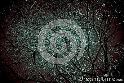 Horror background. Scary frightening tree branches glowing with bloody color in the dark with mystical shadows in the night haze Stock Photo