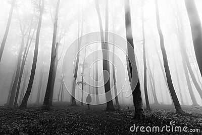 Horror dark man in silhouette in foggy forest Stock Photo