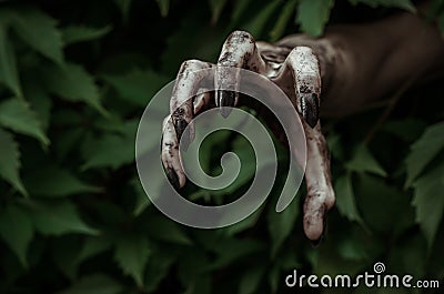 Horror and Halloween theme: terrible dirty hand with black fingernails zombie crawls out of green leaves, walking dead apocalypse Stock Photo