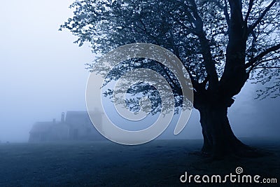 Horror house in the forest at night Stock Photo