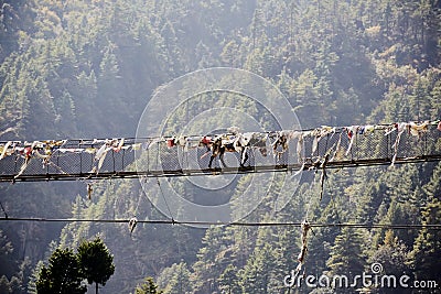 Hors crossing a rope hanging suspension bridge Stock Photo