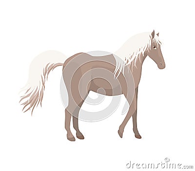 Horse Vector Illustration