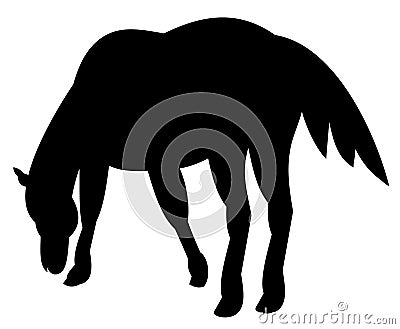 Horse Vector Illustration