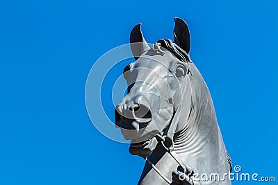 Horse, Anichkov bridge. Nevsky prospect Russia, Saint-Petersburg. Stock Photo