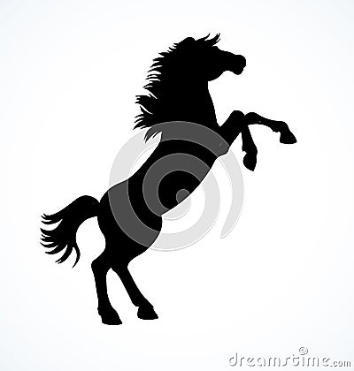 Horse began to buck. Vector drawing Vector Illustration