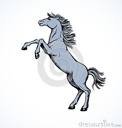 Horse began to buck. Vector drawing Vector Illustration