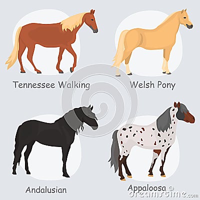 Horse breeds color flat icons set Stock Photo