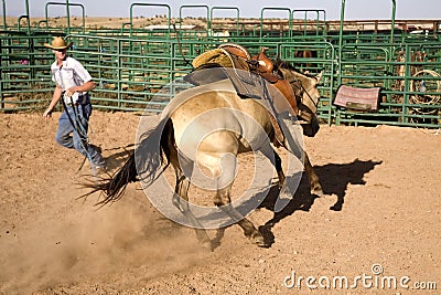 Horse bucking and cowboy Stock Photo