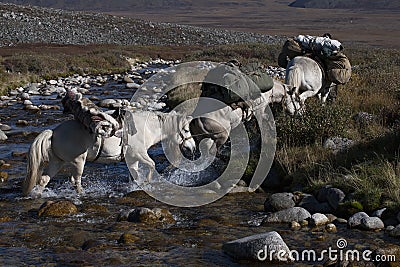 Horse caravan with a cargo enters the river. Stock Photo