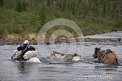 Horse caravan. Stock Photo