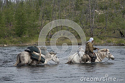 Horse caravan Editorial Stock Photo