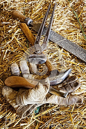 Horse Care Implements Stock Photo