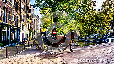 Horse and Carriage in Amsterdam in the Netherlands Editorial Stock Photo