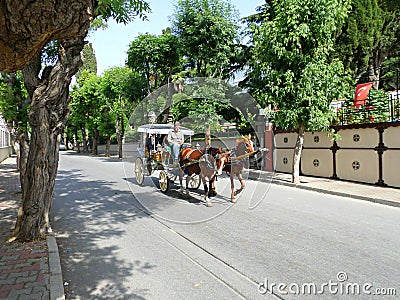 Horse carriage in Buyukada island, Istanbul, Turkey. Editorial Stock Photo