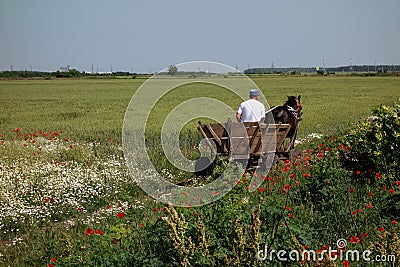 Horse carriage in the middle of the plain Editorial Stock Photo