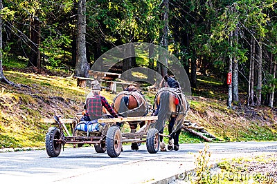 Horse carriage on mountain road in Bihor, Romania, 2021 Editorial Stock Photo