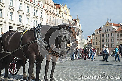 Horse carriage in Old Town Prague Stock Photo