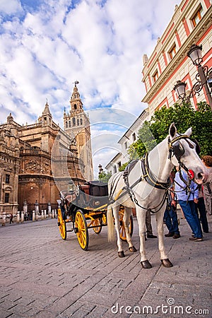 Horse carriage in Seville, the Giralda cathedral in the background, Andalusia Stock Photo