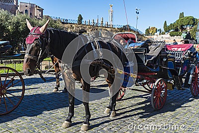 Horse carriage for tourists in Rome, Italy Editorial Stock Photo